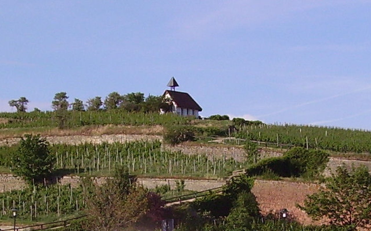 Bad Dürkheim – Weinberg mit Michaelskapelle